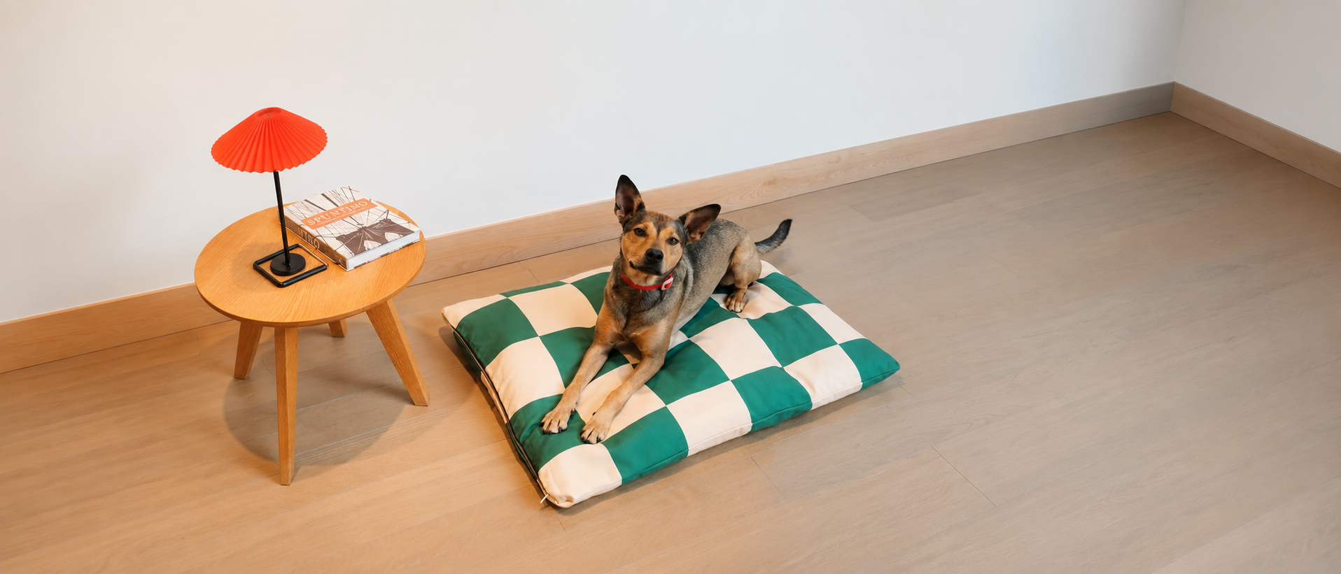 Comfortable pet bed for cats and dogs