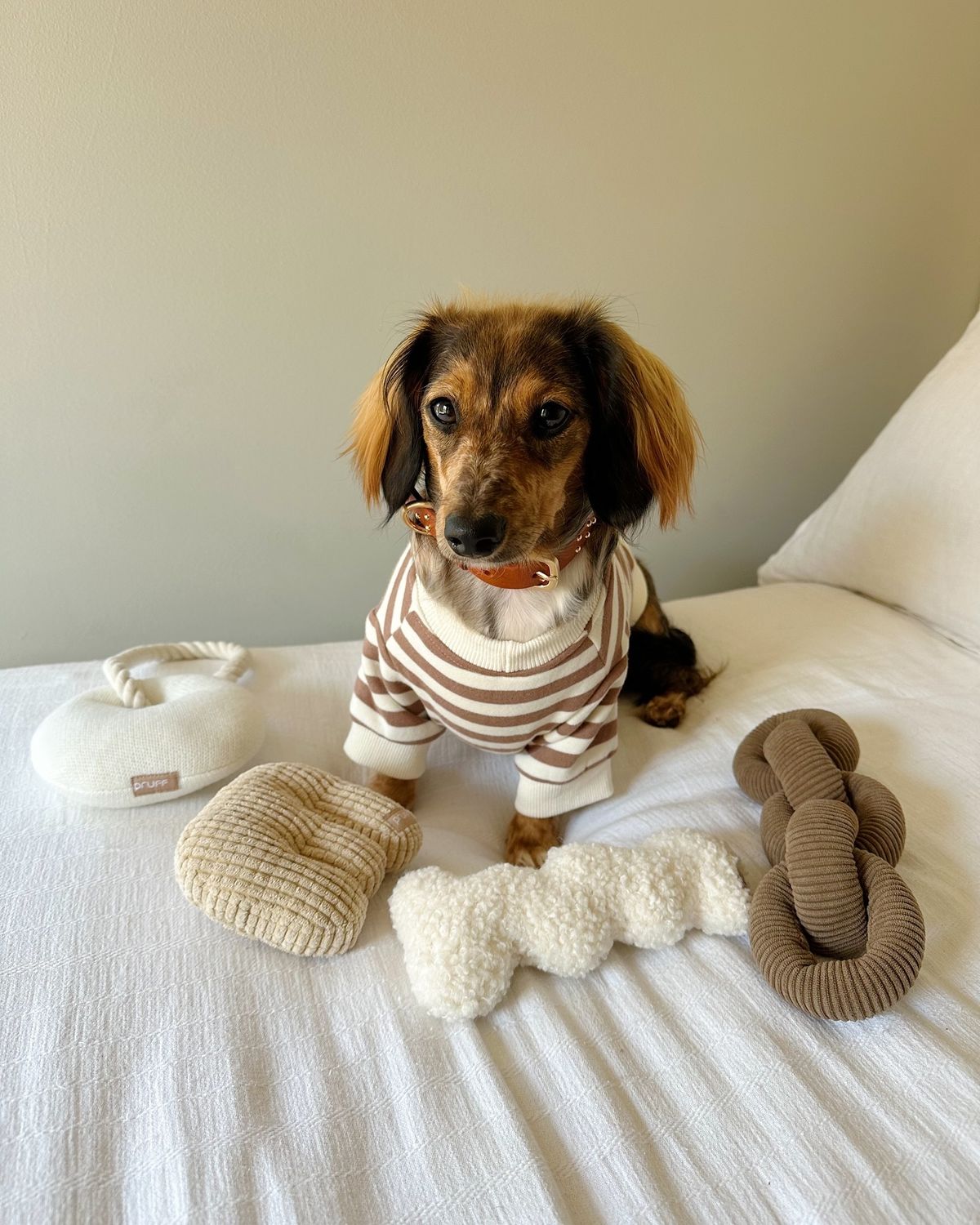 Play toys for cats and dogs