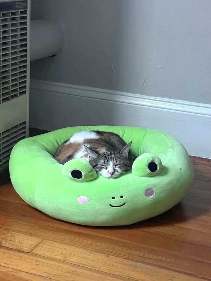 Comfortable beds for cats and dogs