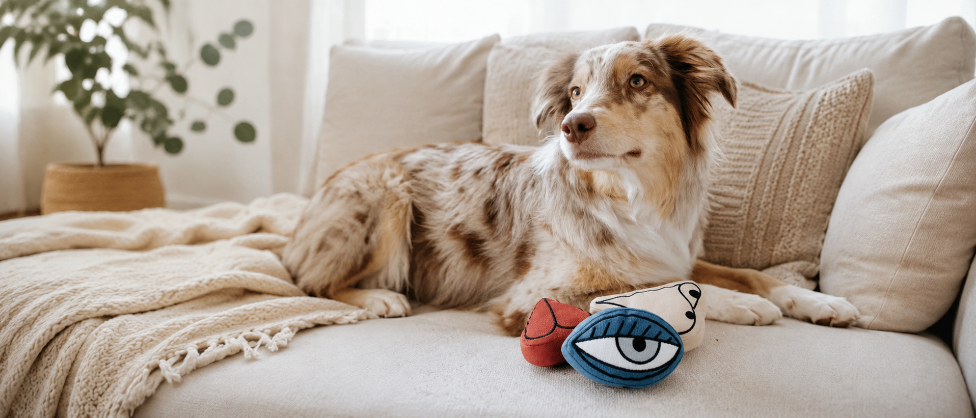 Pets enjoying a calm and comfortable home