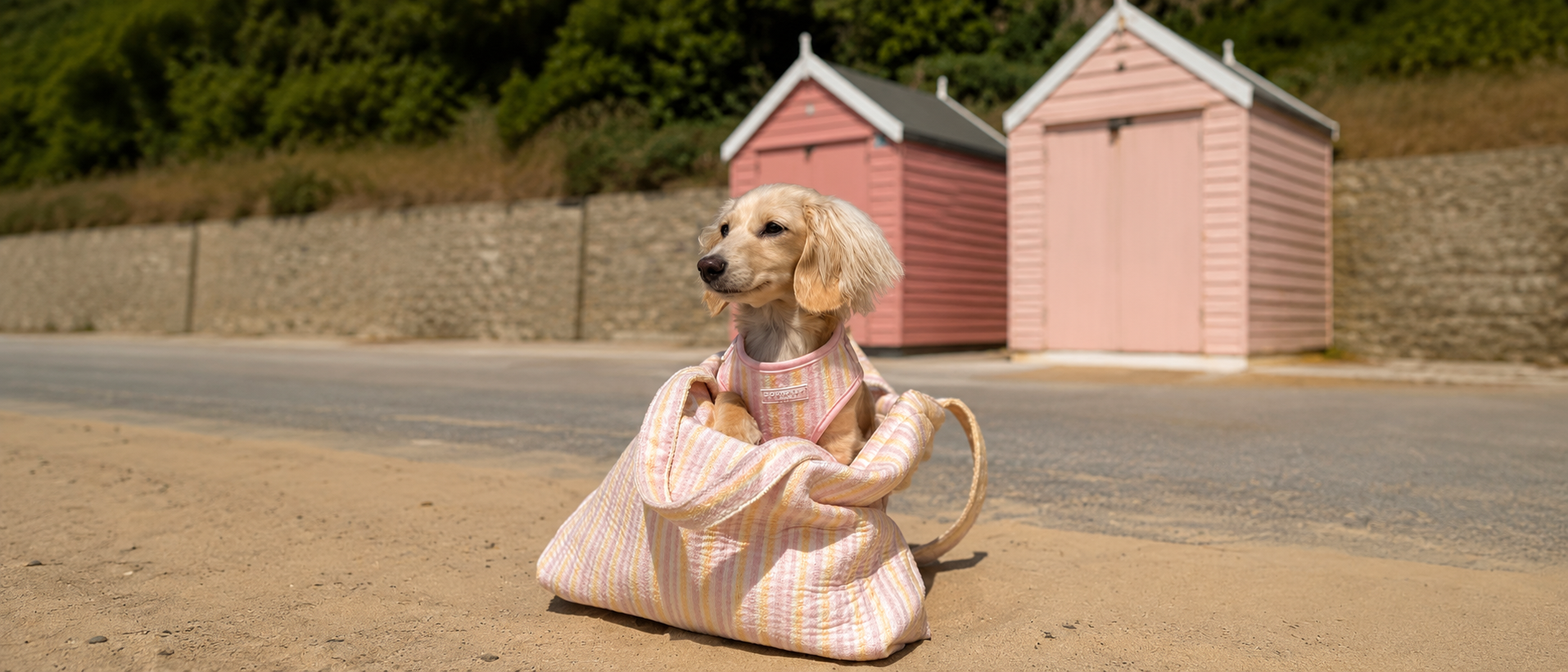 Comfortable pet beds and accessories for cats and dogs